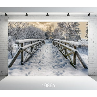TMOTN 5x7ft Christmas Backdrop Natural Winter Background for Photography White Snow Tree Home Party Decoration Photo Studio Props D2255 TMOTN 5x7ft Christmas Backdrop Natural Winter Background for Photography White Snow Tree Home Party Decoration Photo Studio Props D2255